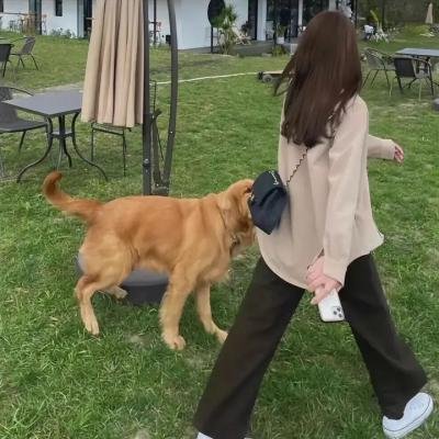 亲爱的拉蒙娜